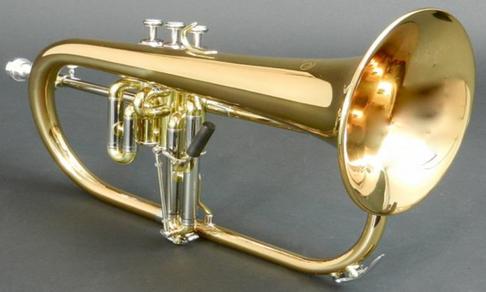 Bb-Flügelhorn XO Modell 1646RL - Brasserie Hamburg Blasinstrumente UG