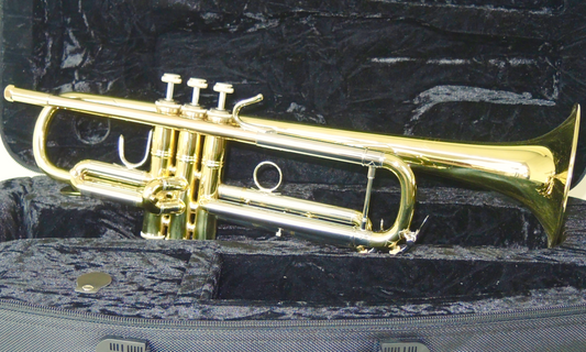 Bb-Trompete Bach Series 1 VBS1 - Brasserie Hamburg Blasinstrumente UG