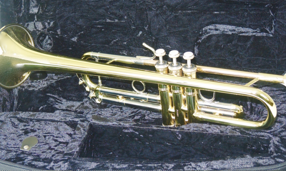 Bb-Trompete Bach Series 1 VBS1 - Brasserie Hamburg Blasinstrumente UG