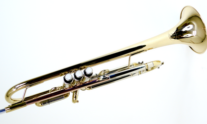 Bb-Trompete MTP Mod. X-8 - Brasserie Hamburg Blasintrumente UG 