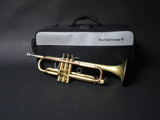 Bb-Trompete BSC-TR2B "Big Horn"