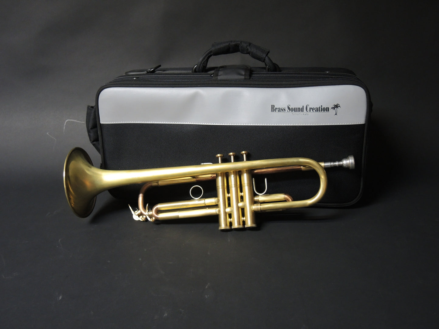 Bb-Trompete BSC-TR2B "Big Horn"