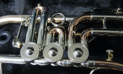 Konzertflügelhorn MTP Mod. 25G - Brasserie Hamburg Blasinstrumente UG